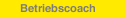 Betriebscoach